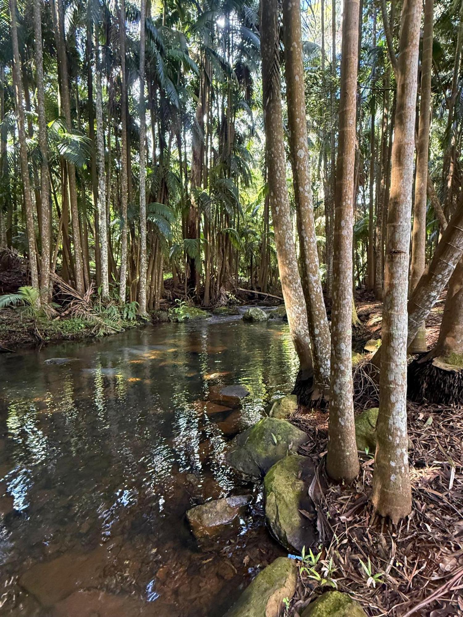 Mt Tamborine Stonehaven Manor Hotel Gold Coast Ngoại thất bức ảnh