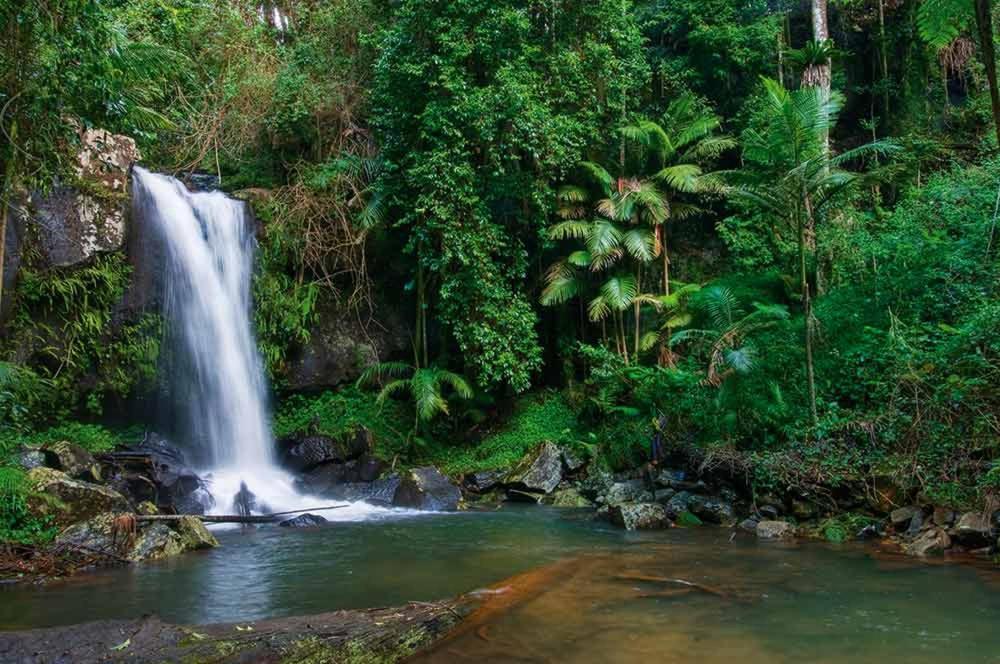 Mt Tamborine Stonehaven Manor Hotel Gold Coast Ngoại thất bức ảnh